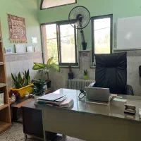 مشاوره تحصیلی خانم(به‌صورت‌آنلاین)|استخدام آموزشی|تهران, فلسطین (میدان انقلاب)|دیوار