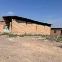 مرغداری ۲۰هزار قطعه ای