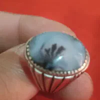 انگشتر دوقاب شجر سید حسن