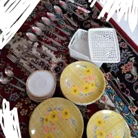 ظروف غذا خوری