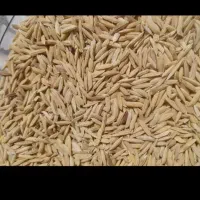 برنج چلتوک هاشمی خوش بو و خوشپخت درجه ۱