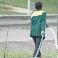 کارگر فضای سبز با سابقه کاری