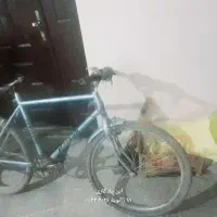 یک عدد دوچرخه عروسک