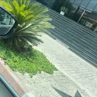 استخدام لابی من