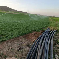 اجاره 2 هکتار زمین کشاورزی آبی و حاصلخیز