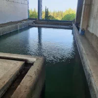 ساخت استخر و ویلا با قیمت منصفانه و اجرای مهندسی|خدمات پیشه و مهارت|محمودآباد, |دیوار