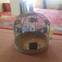 قفس طرقه|لوازم جانبی حیوانات|شیراز, پودنک|دیوار