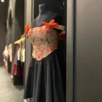 نیم تنه کرستی مجلسی