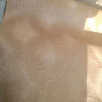 ۲۰۰۰رول کاغذدیواری|مصالح و تجهیزات ساختمان|کرج, ساماندهی|دیوار