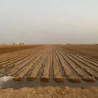 خرید-و-فروش-زمین-کشاورزی