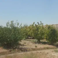 باغ-هزار-1300متر-خیابان-سروش-قهجاورستان