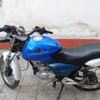 آمیکو‌ گلسار 186