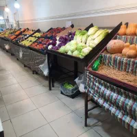 استخدام همکار خانم