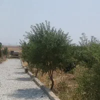 باغ۱۷۵۰متری|فروش دفتر صنعتی، کشاورزی، تجاری|کرمانشاه, |دیوار