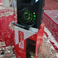 اسپیکر همراهGs16|پخش‌کننده همراه|شیراز, بید زرد|دیوار