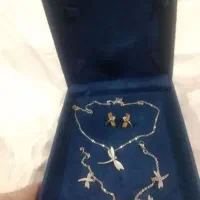 سرویس بدلیجات.