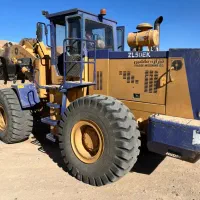 درخواست لدر کوچیک برای ماسه شویی