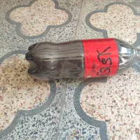 خاک آهن|گل و گیاه طبیعی|شوشتر, |دیوار