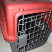 باکس گربه وسگ