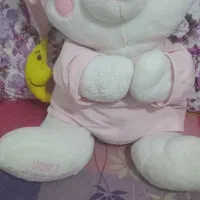 دوتا عروسک نو