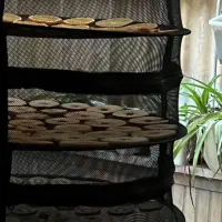 خشک کن میوه و سبزی