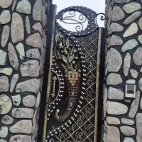 نقاشی ساختمان|خدمات پیشه و مهارت|رودهن, |دیوار