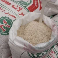 برنج هاشمی گیلان امساله معطر و بشرط مرجوعی|خوردنی و آشامیدنی|برخوار, |دیوار