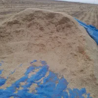 کاه کاهکوب مناسب و تمیز|لوازم جانبی حیوانات|تربت جام, جامرود|دیوار