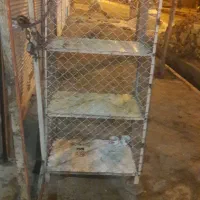 قفس