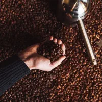 فروش قهوه به صورت عمده و خرده