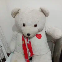 خرس بزرگ قابل شستو