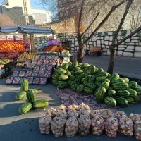 به یک نفر نگهبان شب تا صبح