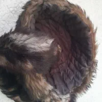 کلاه روسی دم روباهی|لباس|فردیس, فردیس|دیوار