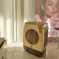 دکور آرایشگاه قیمت مناسب|آرایشگاه و سالن‌های زیبایی|فولادشهر, مسکن مهر فولادشهر|دیوار