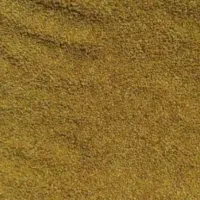 بذر قره یونجه