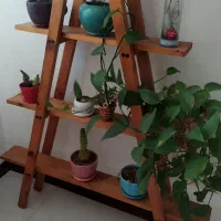 فروش استند گل