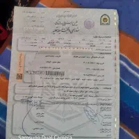 نیسان ۷۱تناژ ۲تن‌اسقاطی|خودرو سواری و وانت|قرچک, شهرک طلائیه|دیوار
