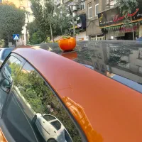 ولستر پرتقالی