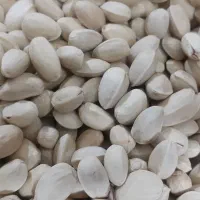 پسته دهن بسته