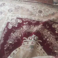 قالی زیبا و تمیز|فرش|اهواز, چهارصد دستگاه|دیوار