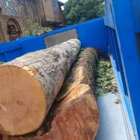 چوب ودرخت|خدمات باغبانی و درختکاری|کرمانشاه, |دیوار