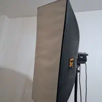 فلاش بوونز