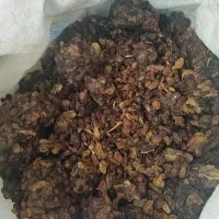 پخش کشمش|خوردنی و آشامیدنی|تبریز, |دیوار