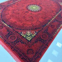 طناز لاکی  بدون پیش پرداخت