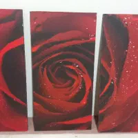 تابلو ۳ تیکه زیبا