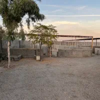 زمین باغی چهار دیواری باغی گلخانه دامداری