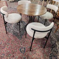 میزوصندلی ناهارخوری شاسی فلز4170Anika|میز و صندلی غذاخوری|شیراز, ارم|دیوار