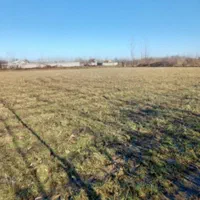 زمین باغی خارج طرح مناسب درختکاری|فروش دفتر صنعتی، کشاورزی، تجاری|صومعه‌سرا, |دیوار