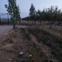 باغ و زمین شخصی|فروش زمین و ملک کلنگی|باغ حلی, |دیوار