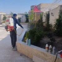باغبانی وسمپاشی در سراسر تهران